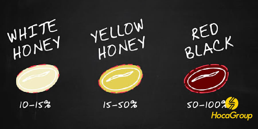  Sơ Chế Cà Phê Honey: Khác Biệt Giữa Yellow/Red/Black Honey