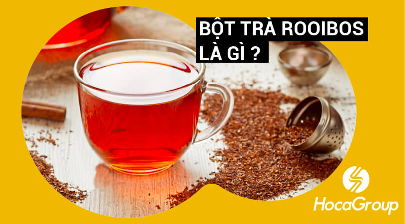 Bột trà Rooibos là gì? Những công dụng nổi trội của Rooibos